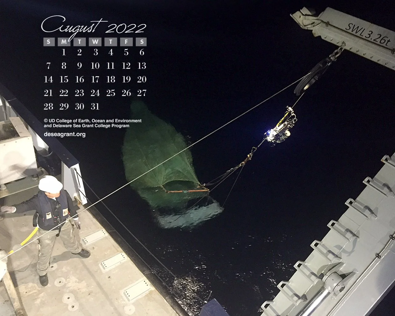 August 2022 — Cookiecutter sharks