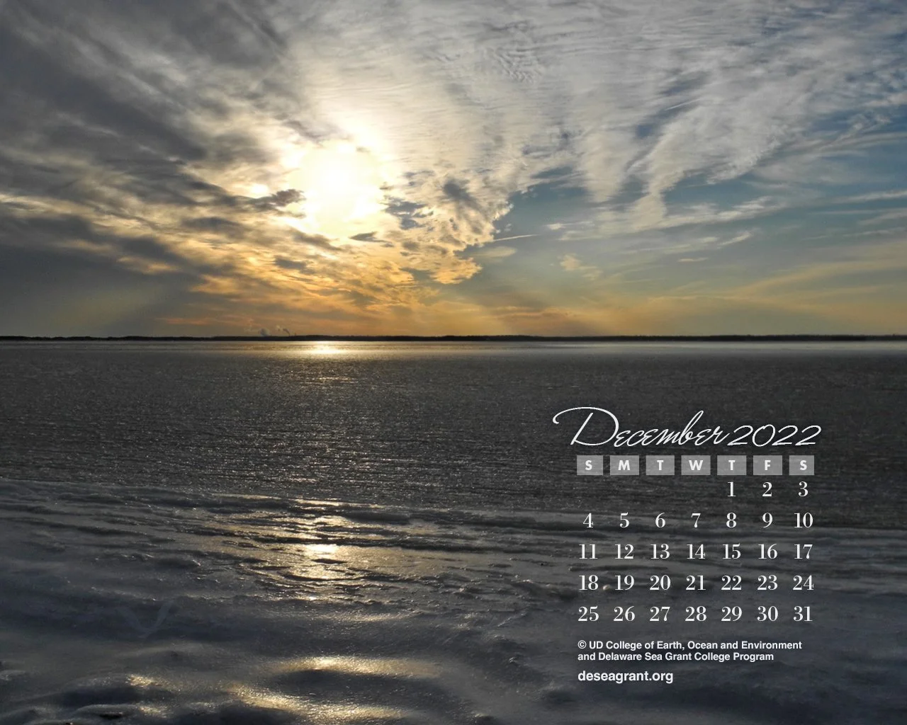 December 2022 — Viruses in the Ocean