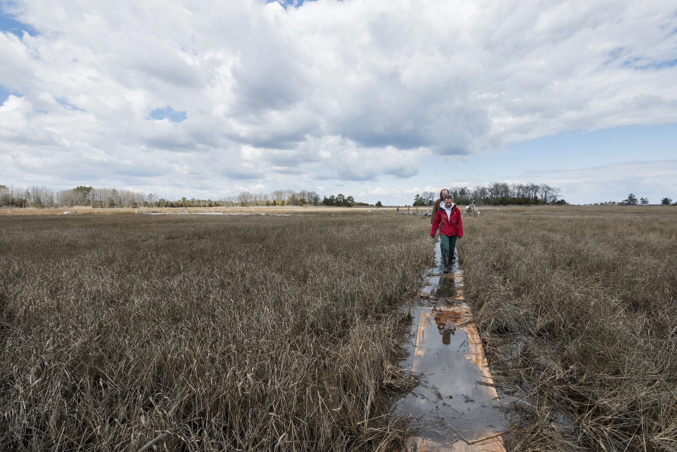 Supporting Environmental Literacy through Meaningful Watershed Education Experiences