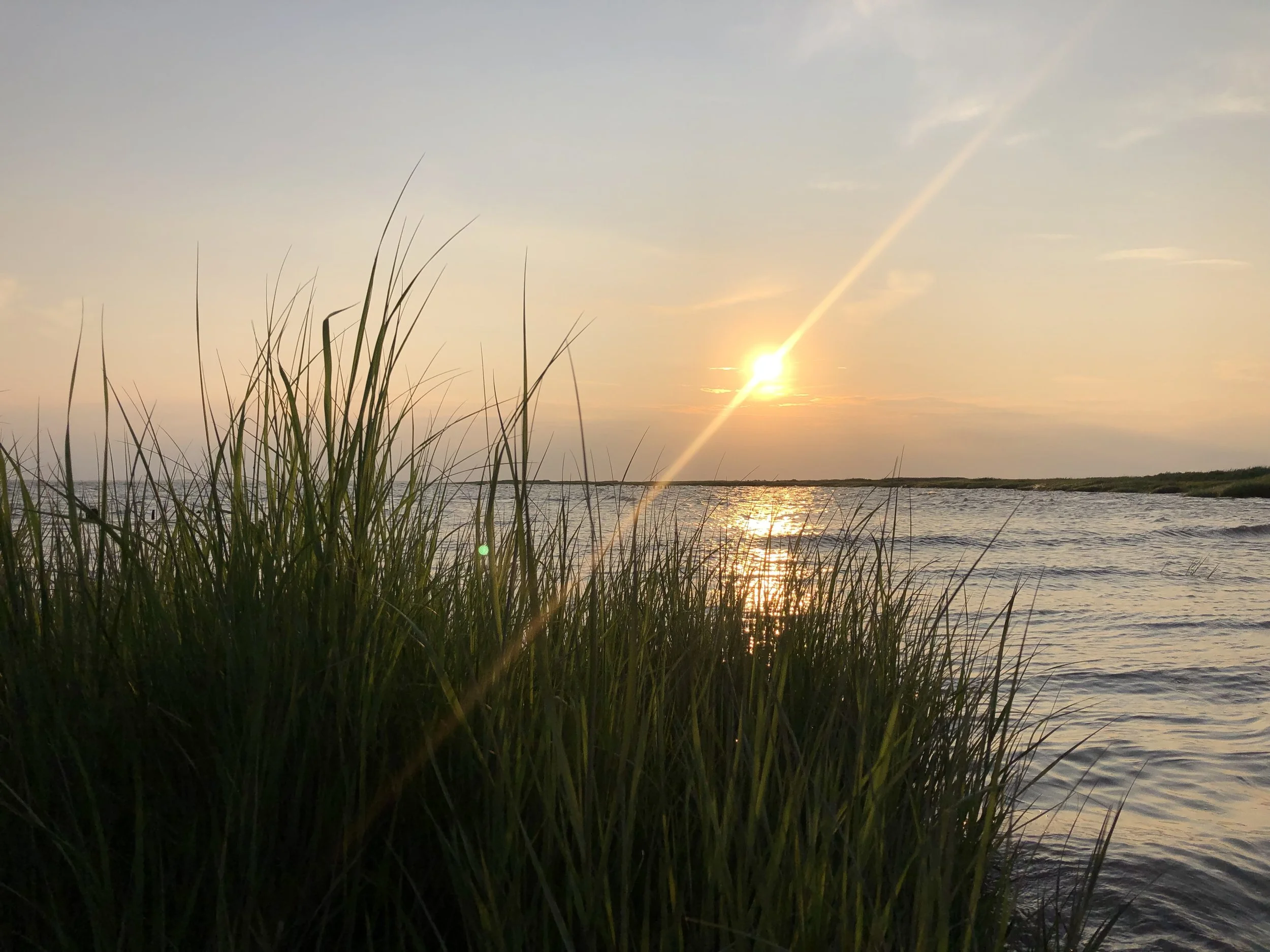 Atlantic Estuarine Research Society's (AERS) Spring 2025 Meeting