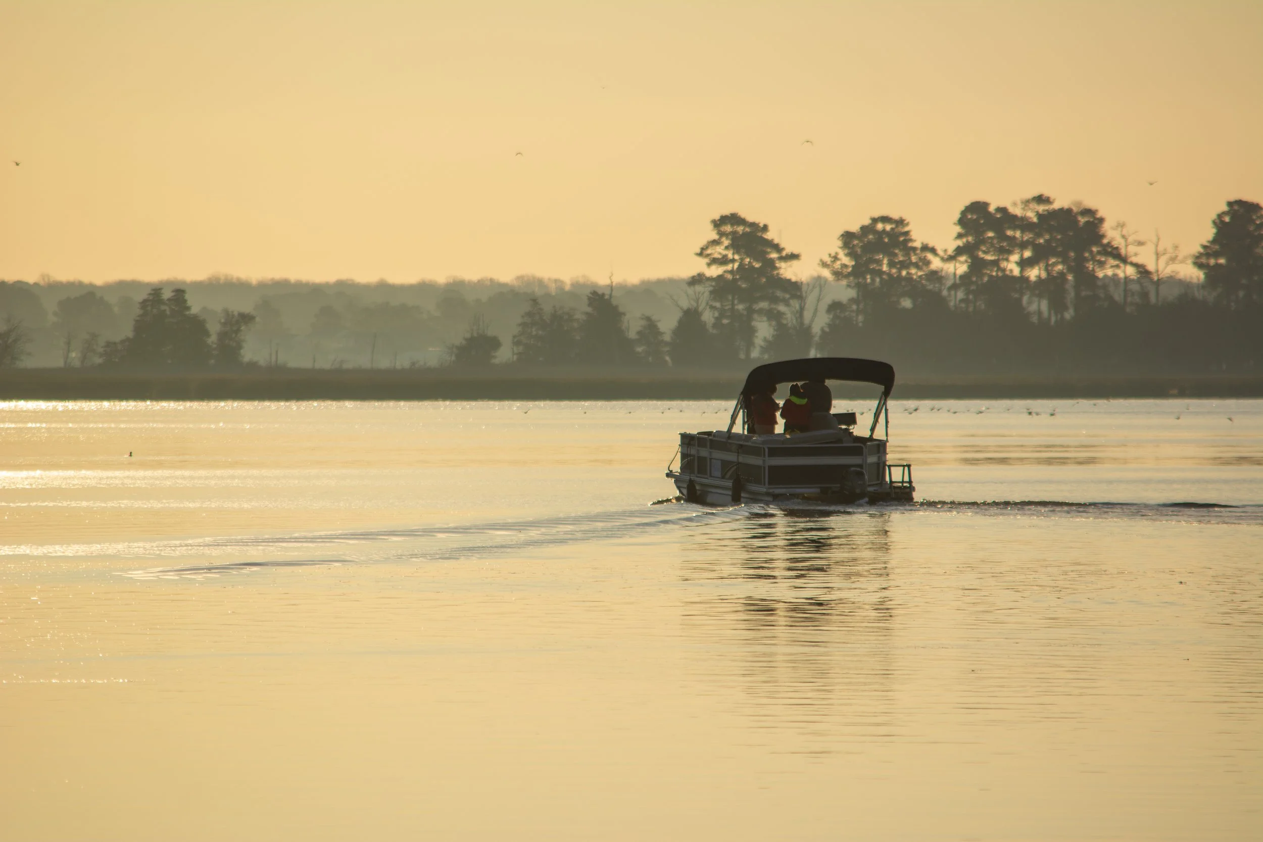 Crafting Your Science Career: Guidance, Insights, and Skills for Students