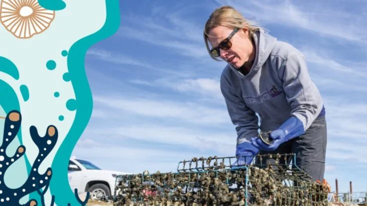 Crabby Consequences: The Curious Case of Lost Crab Traps