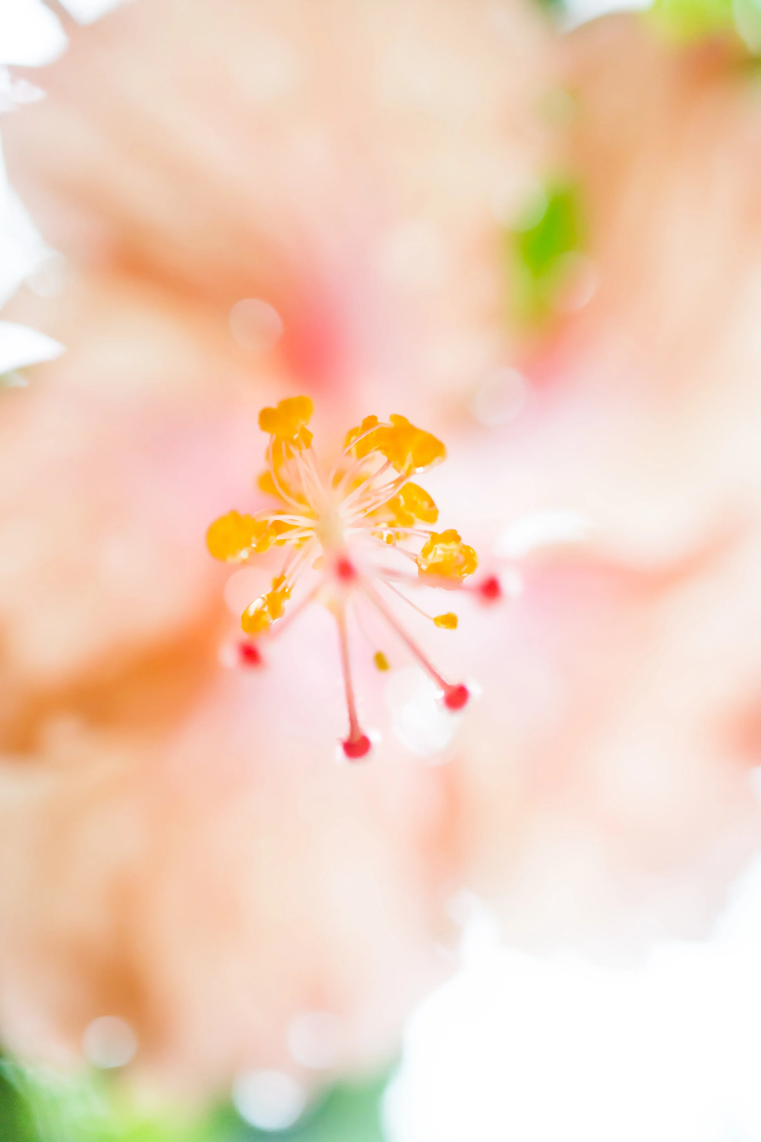 DSC_8289.jpg