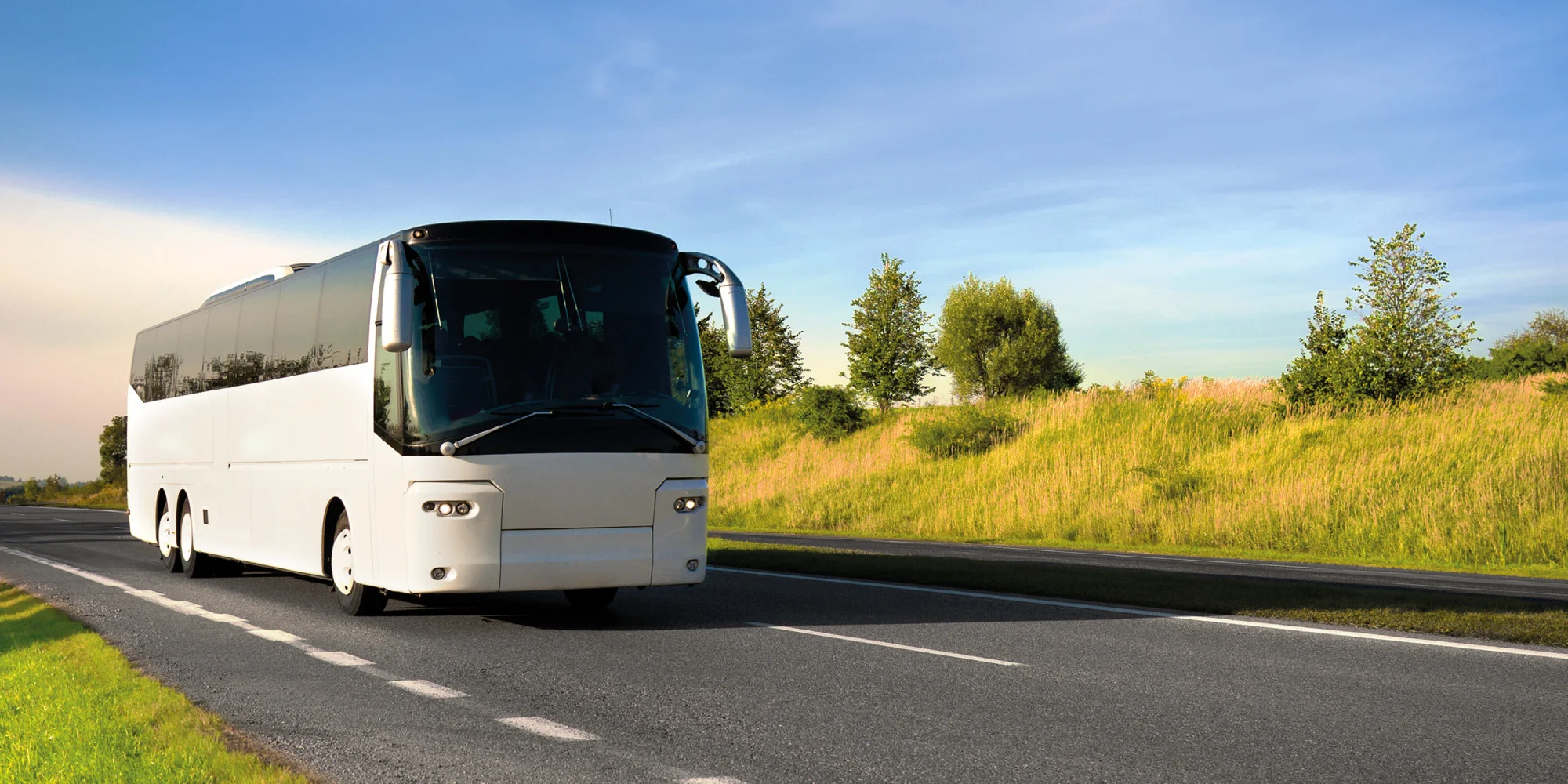 bus.jpg