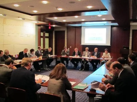 Edited TAG 2011 Meeting.JPG