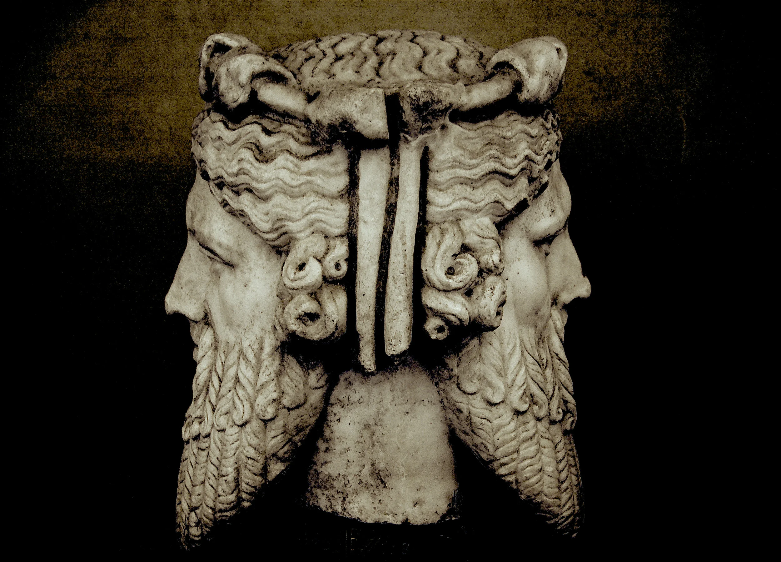 Janus1 Alt 2.jpg