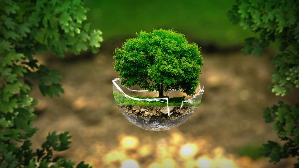 environment.jpg
