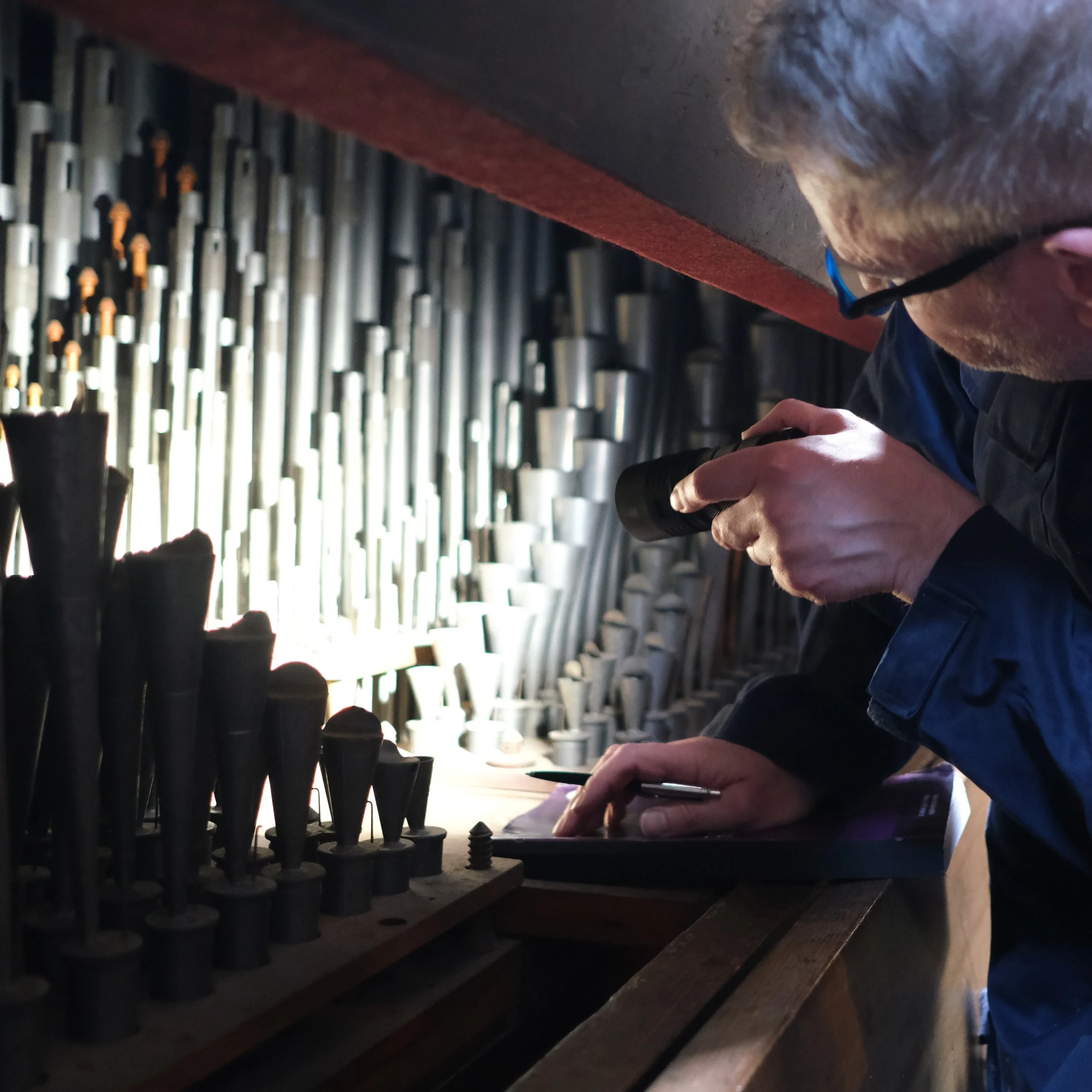 Talks + Tours / Inside the Organ