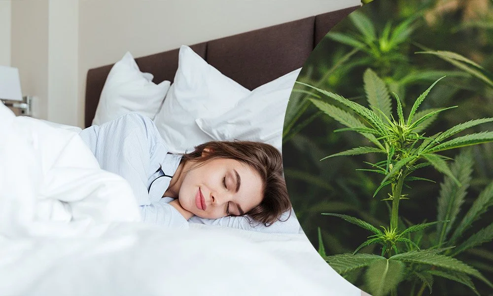 Rick Simpson Oil and Sleep