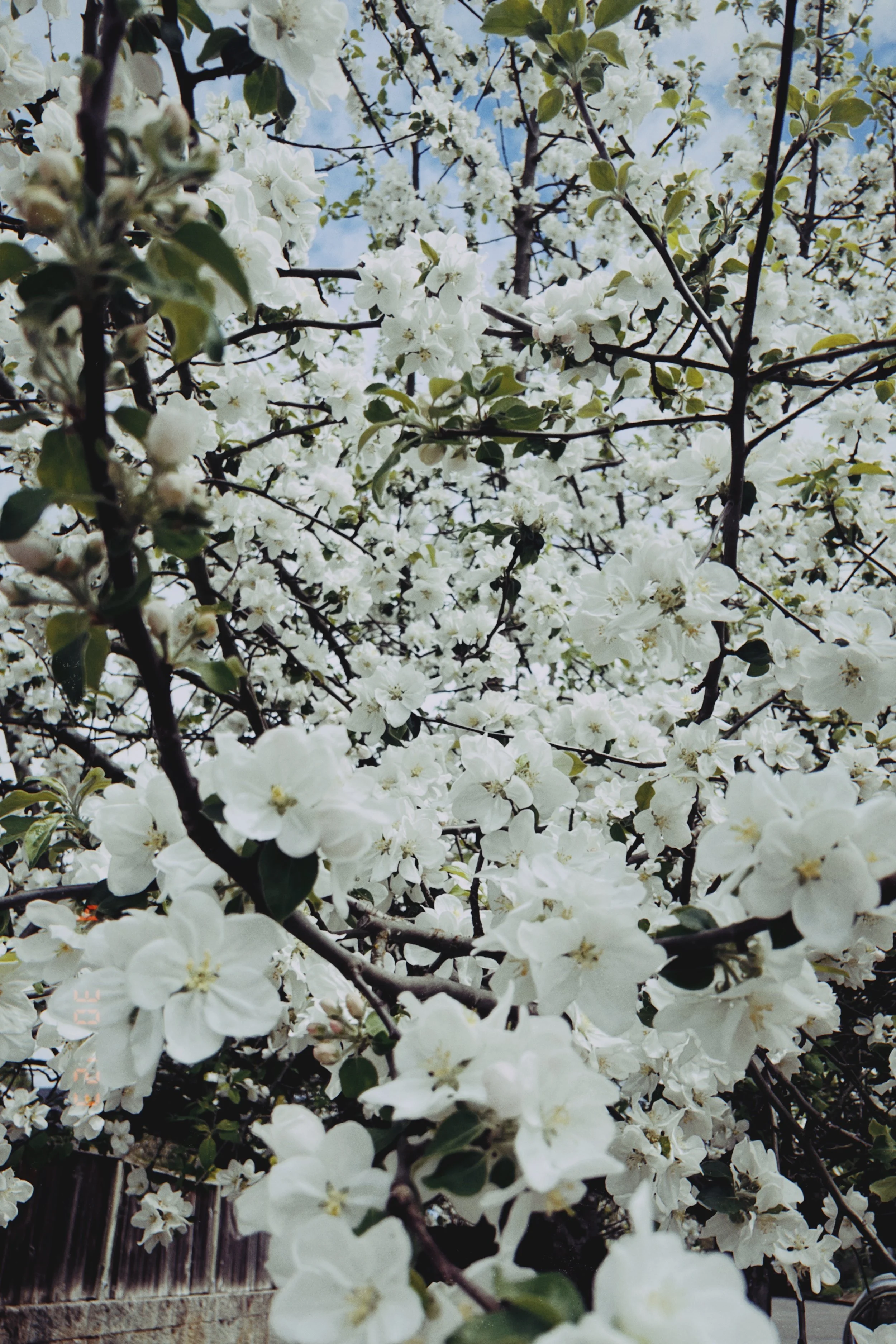 BA139D54-23A6-4044-9A28-6AAEA9394D26.jpeg