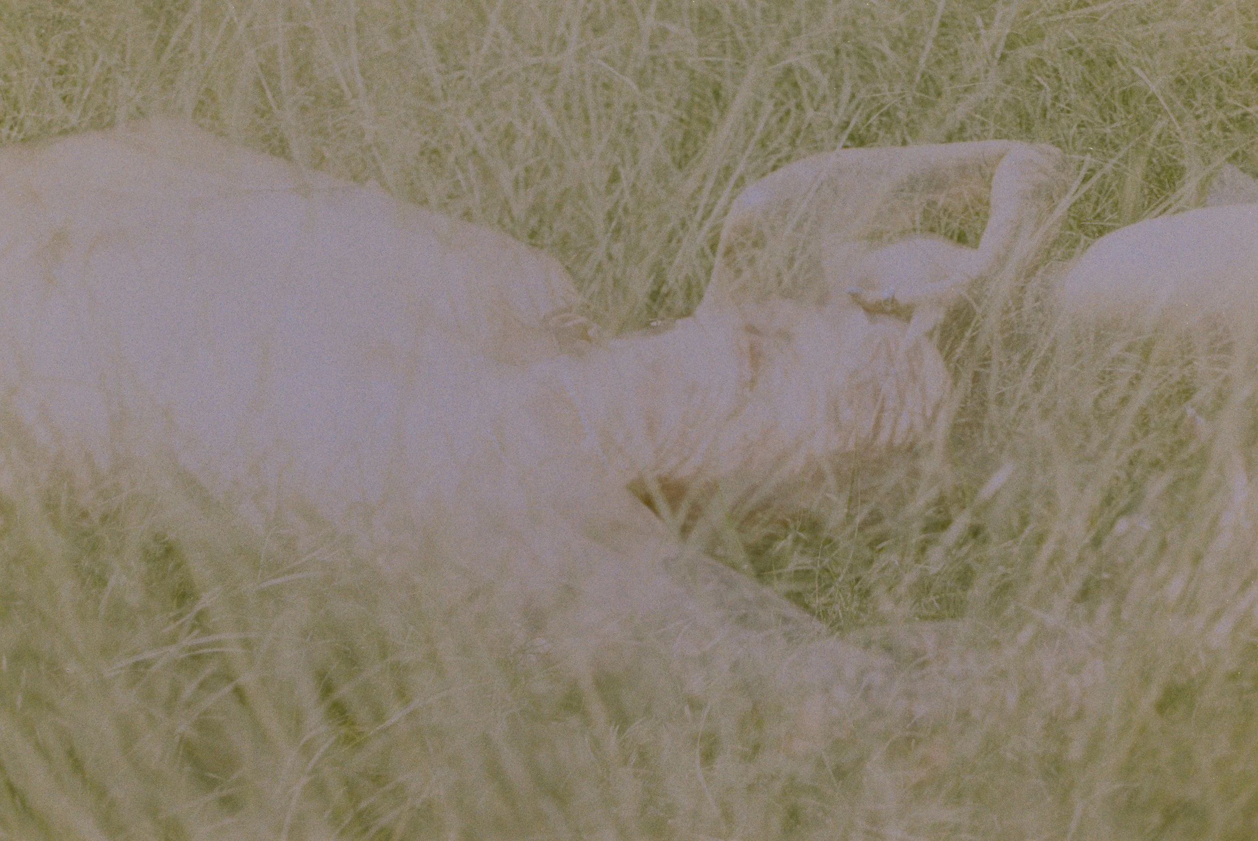 4032660-R1-074-35A.jpeg