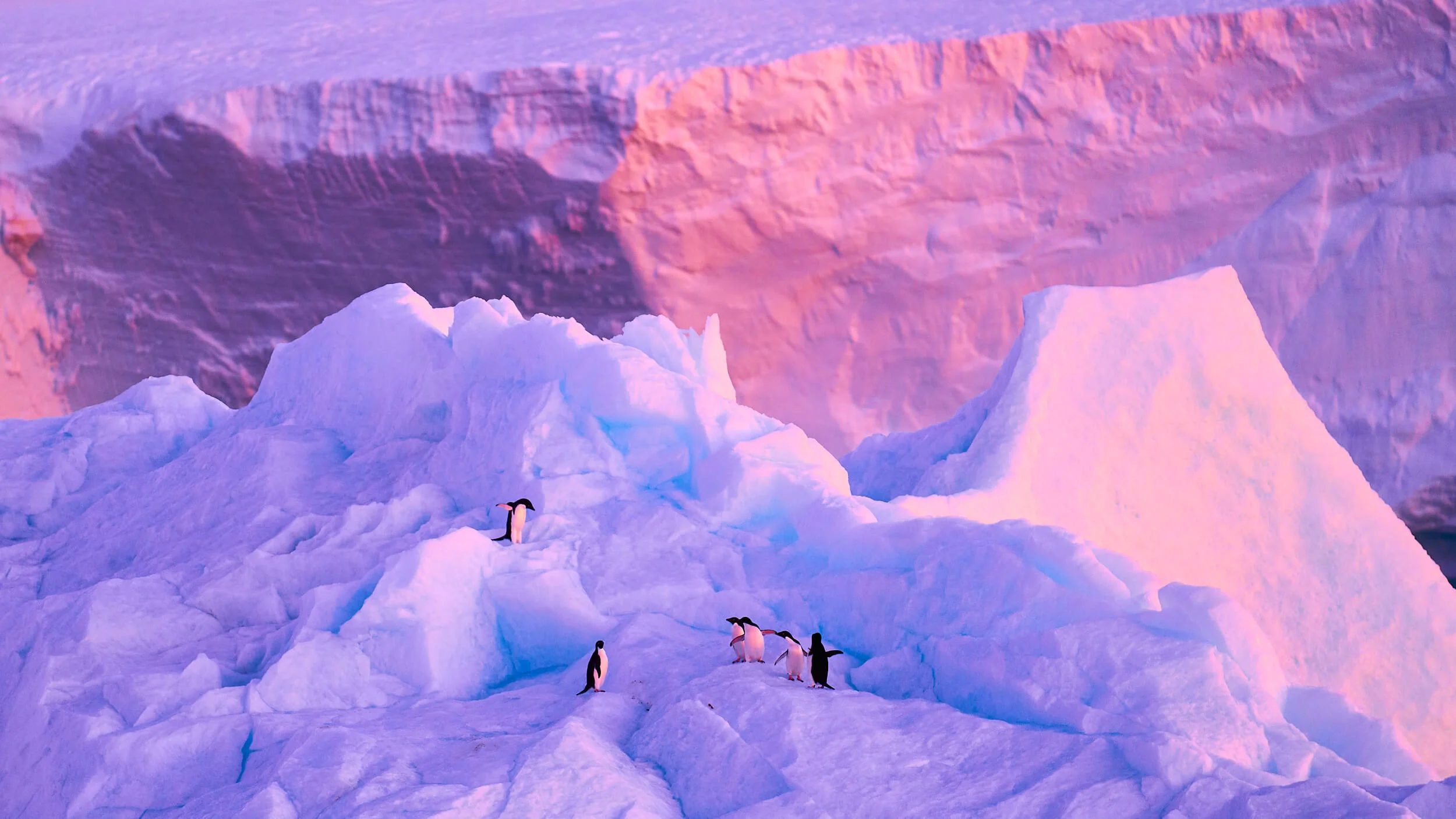 costudio-antarctica-2018-02057.jpg