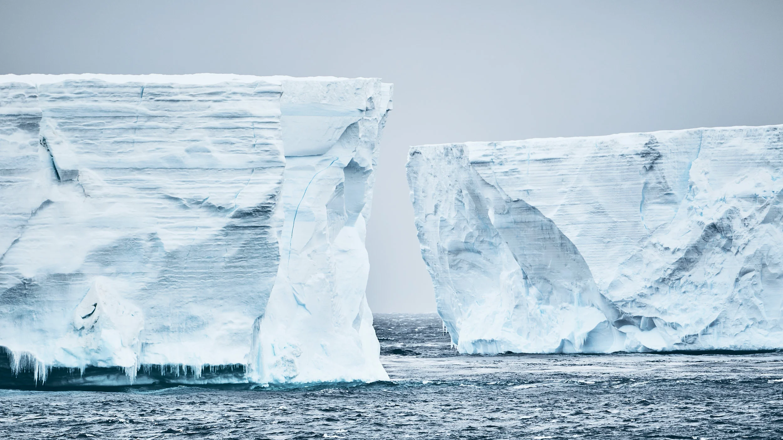 costudio-antarctica-2018-04963.jpg