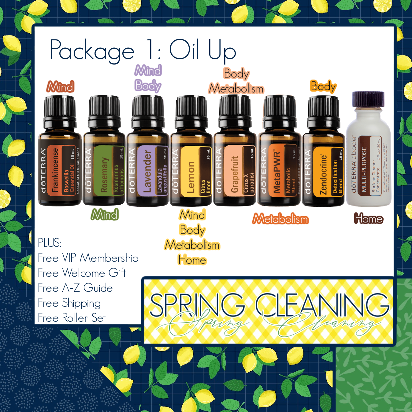 Classroom — Oil My Goodness