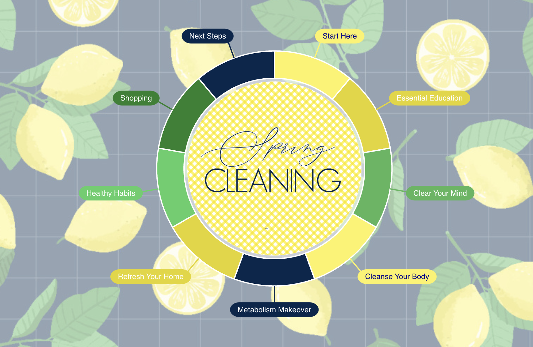 Spring Cleaning iYuga Wheel
