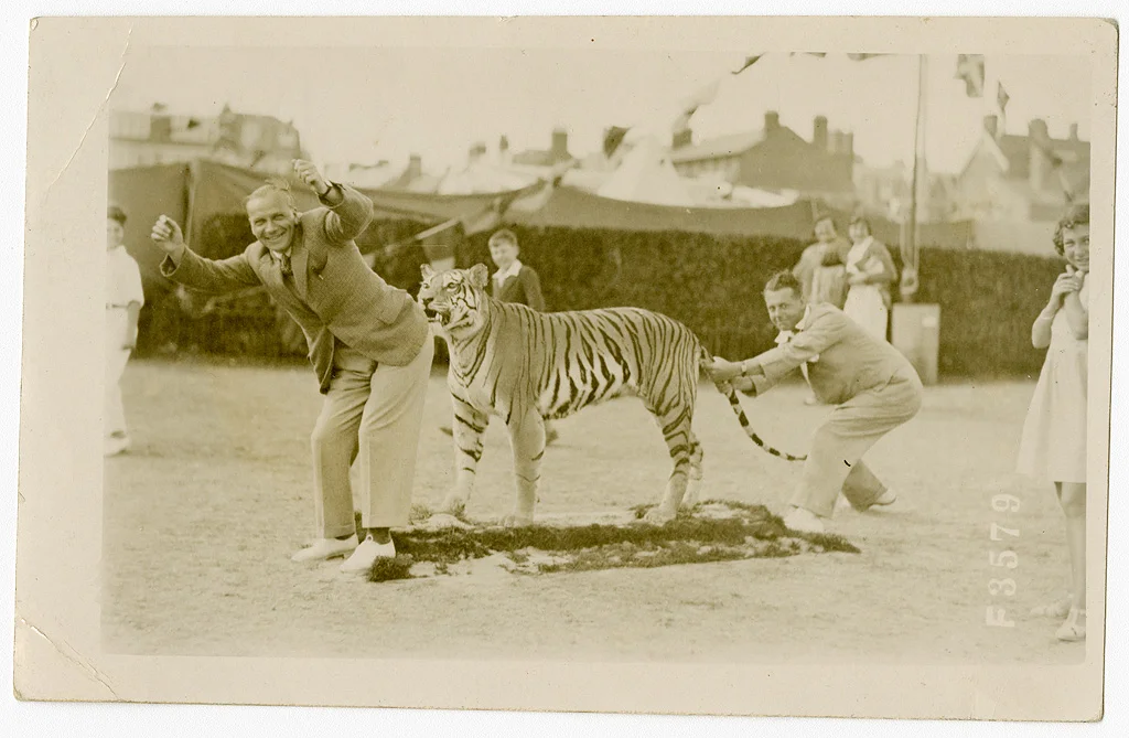 Men performing antics with Sunbeam tiger at Thanet, Kent. ©Ralph Billington ©SEAS Photography
