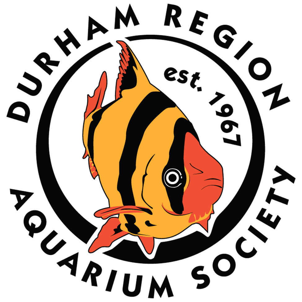 Durham Region Aquarium Society