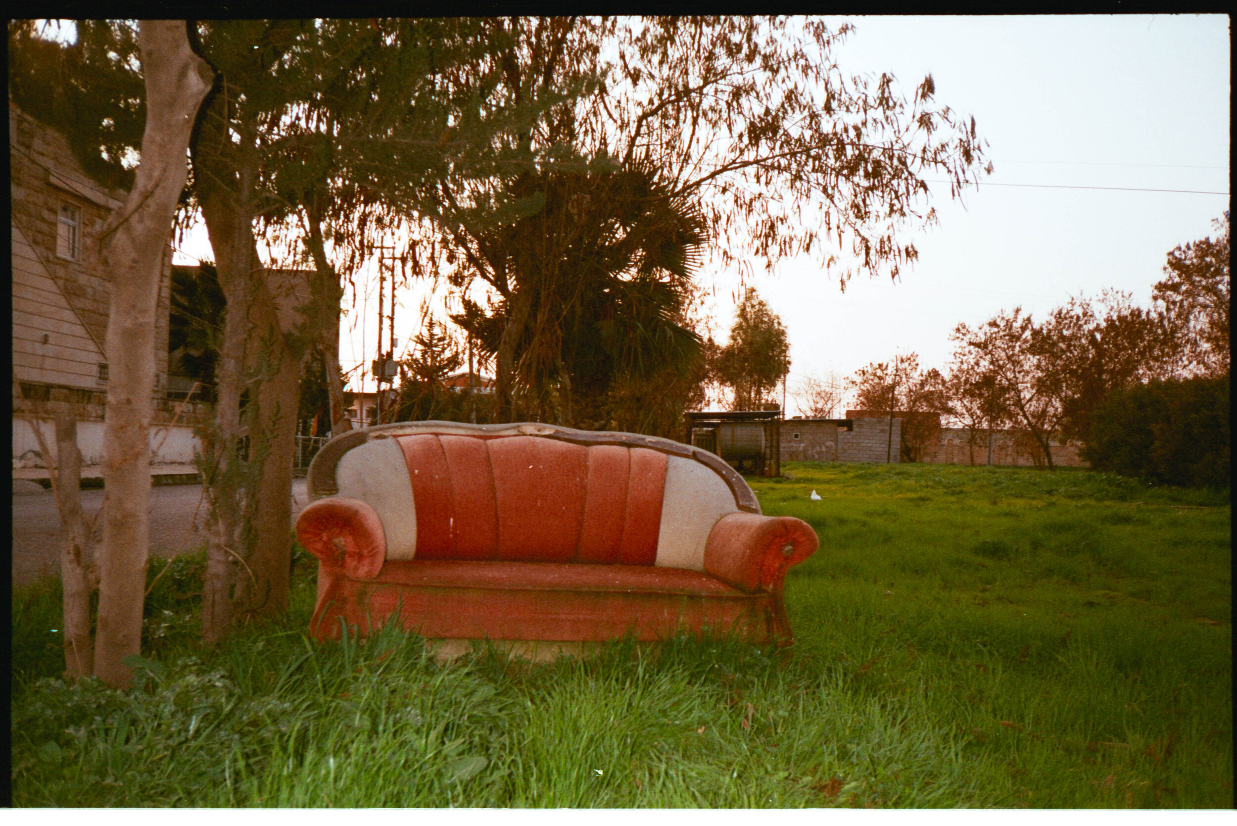  Kylie's senior's pictures. 