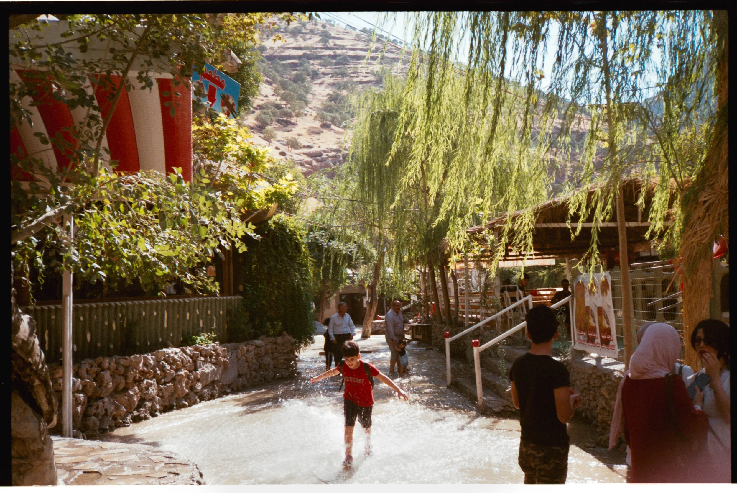  Kylie's senior's pictures. 