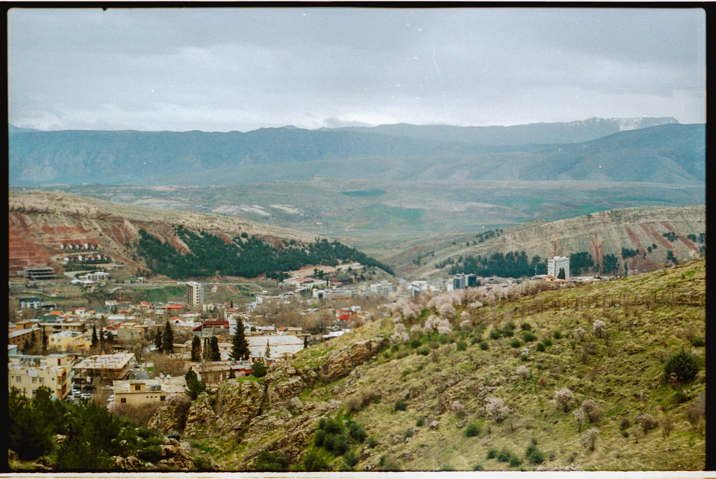  Kylie's senior's pictures. 