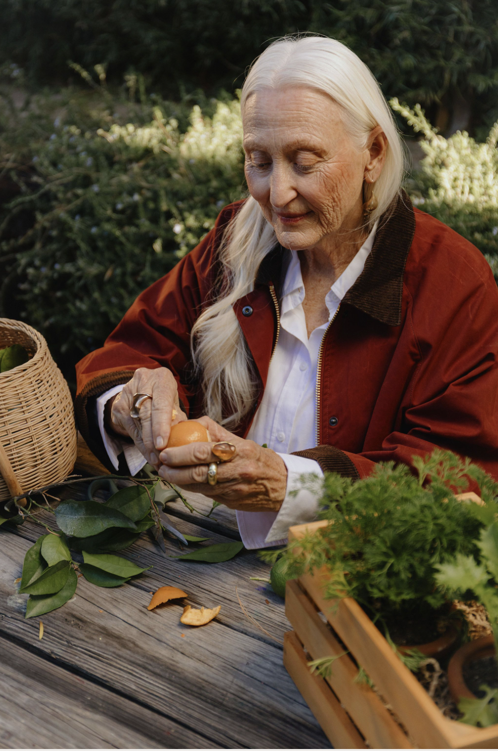 Screenshot 2026-02-01 at 10.54.54 AM.png