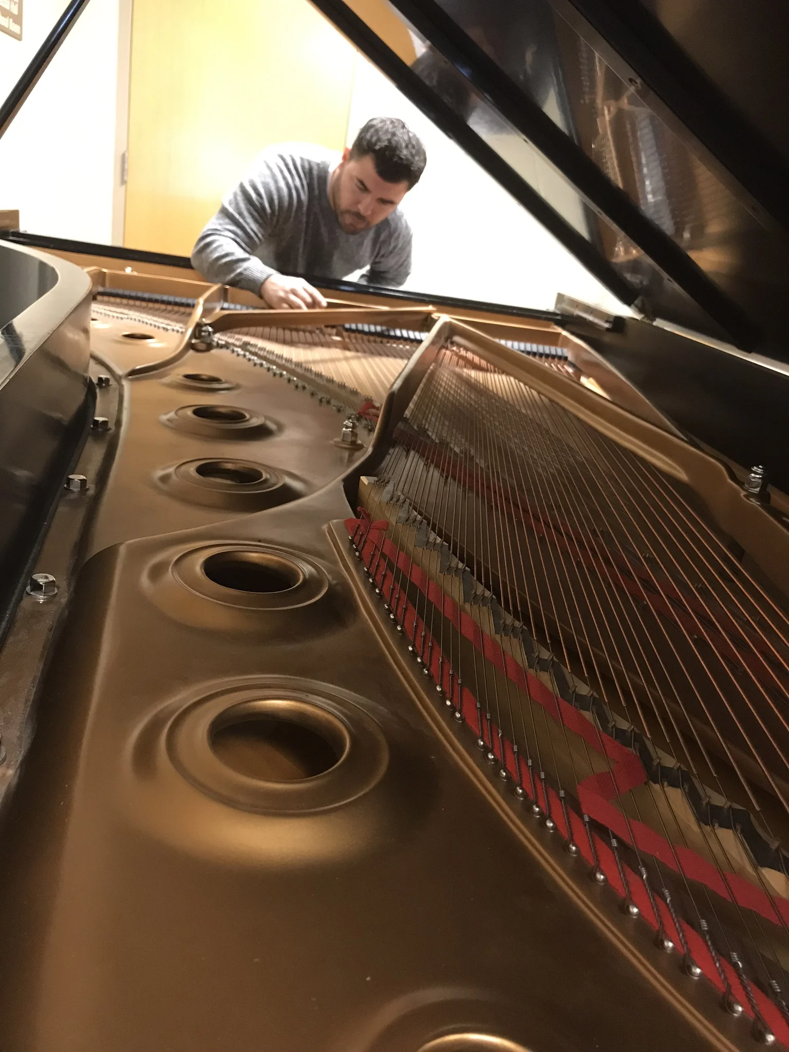  Concert Level Piano Action Rebuilding &amp; Regulation 