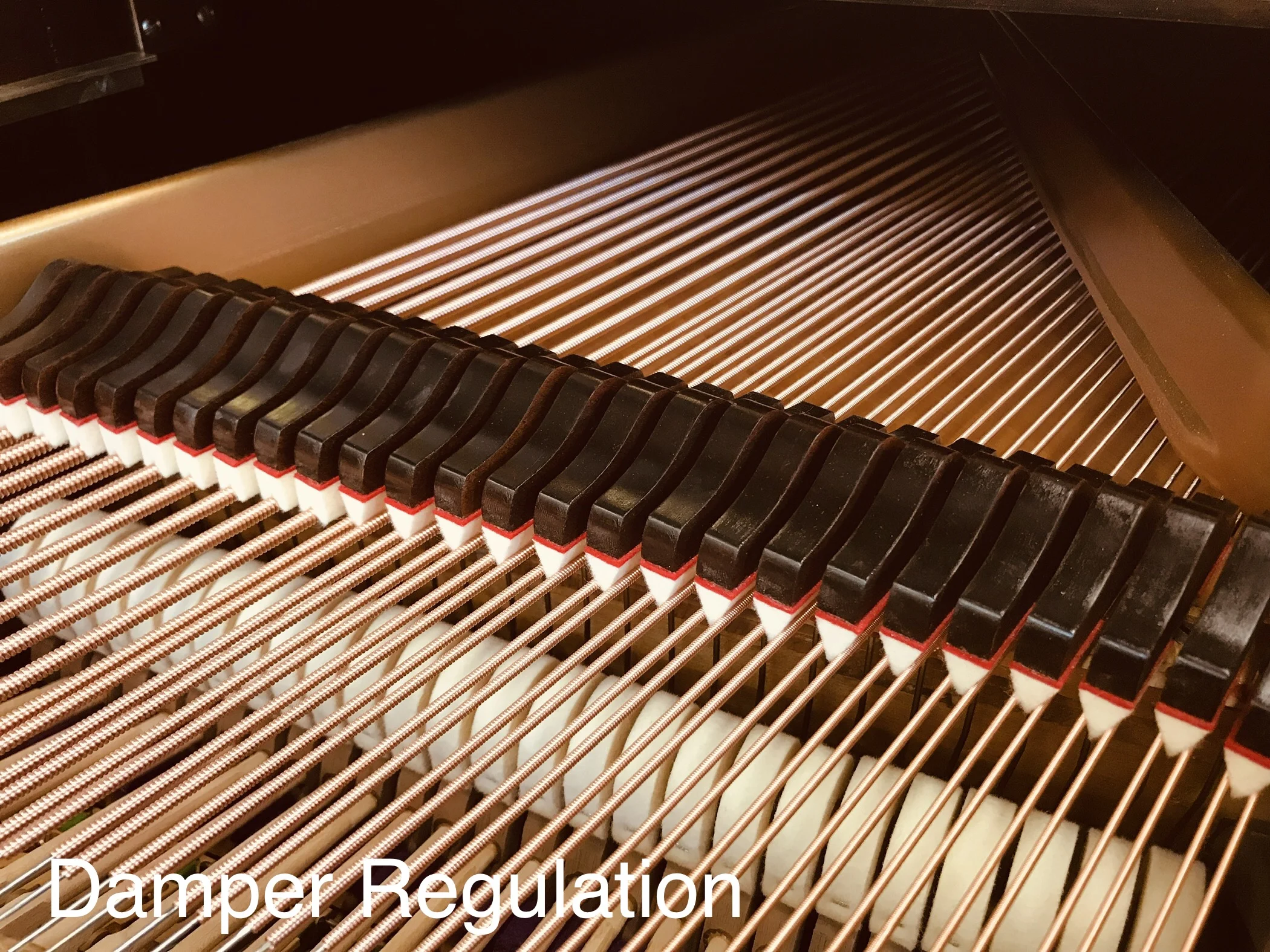   Piano Rebuilding &amp; Restoration 