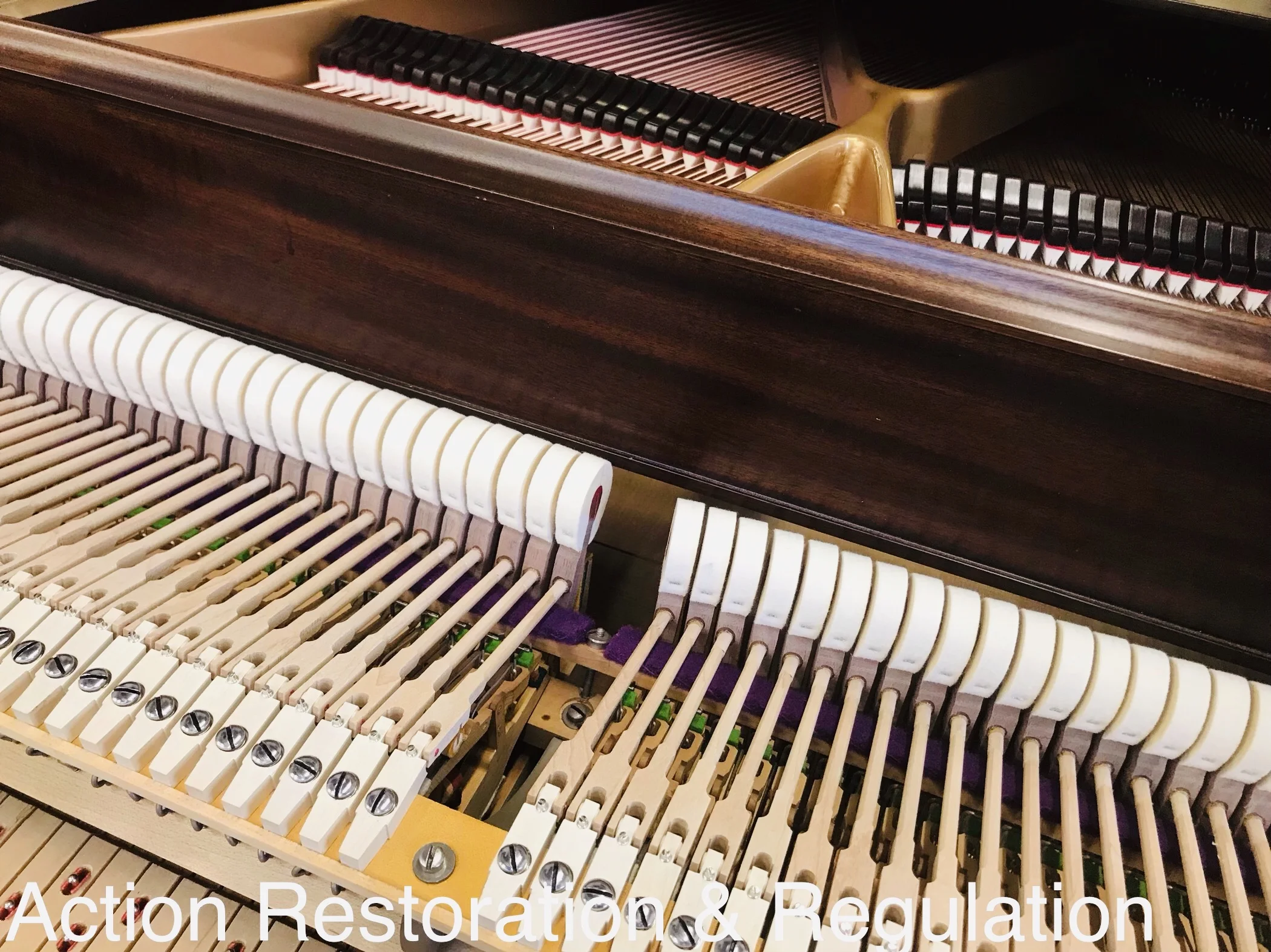   Grand Piano Action Rebuild  