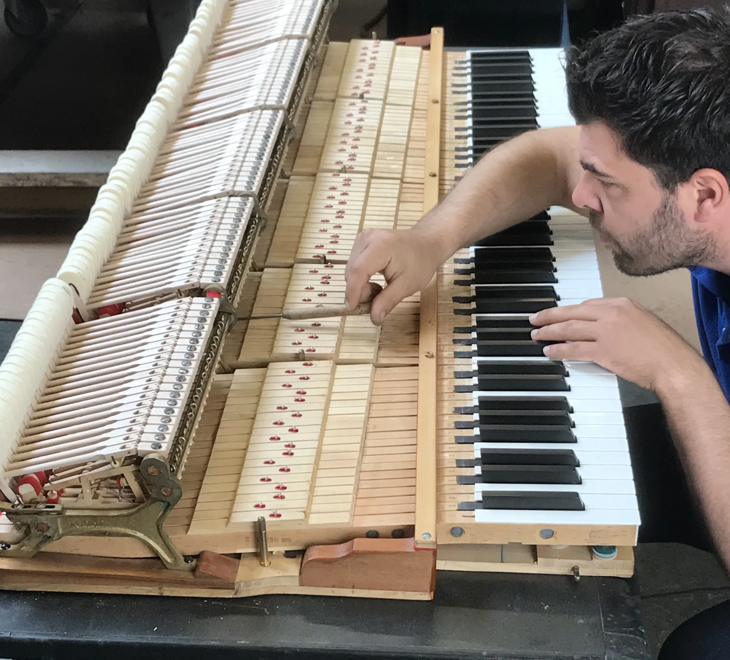  Steinway Model D Action Regulation Process  