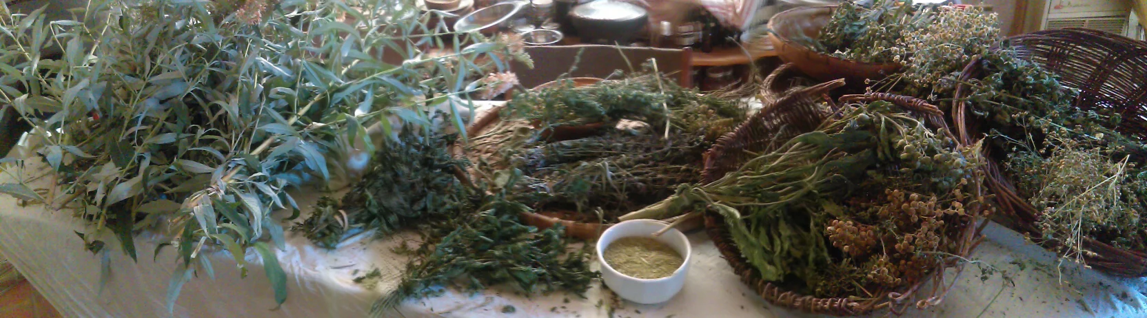 IMAG0114.jpg