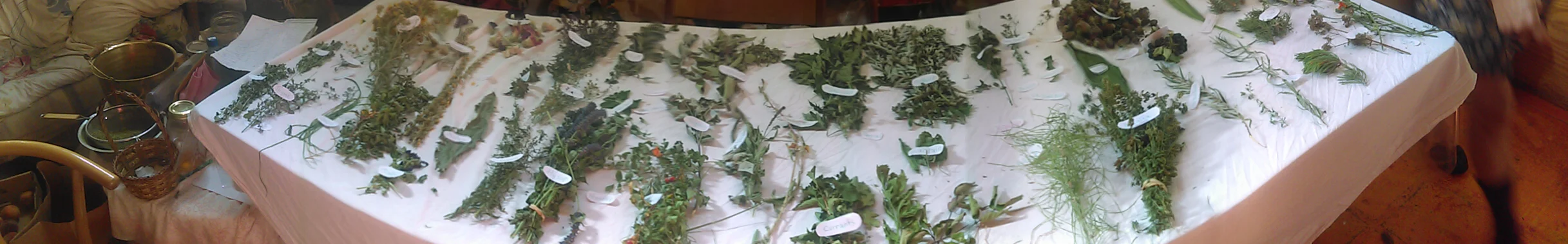 IMAG0067.jpg