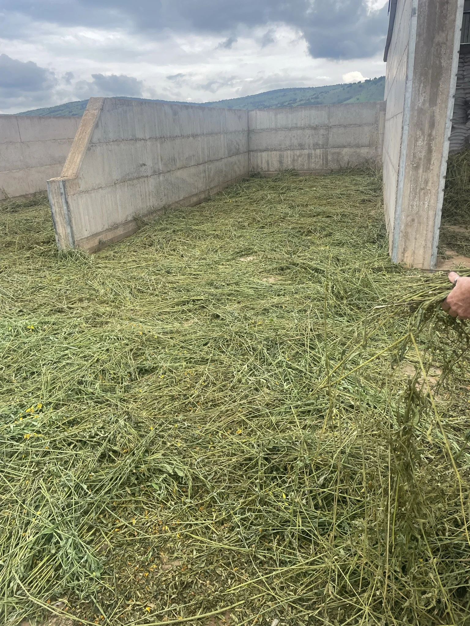  COP27 Round table on “Food Security”