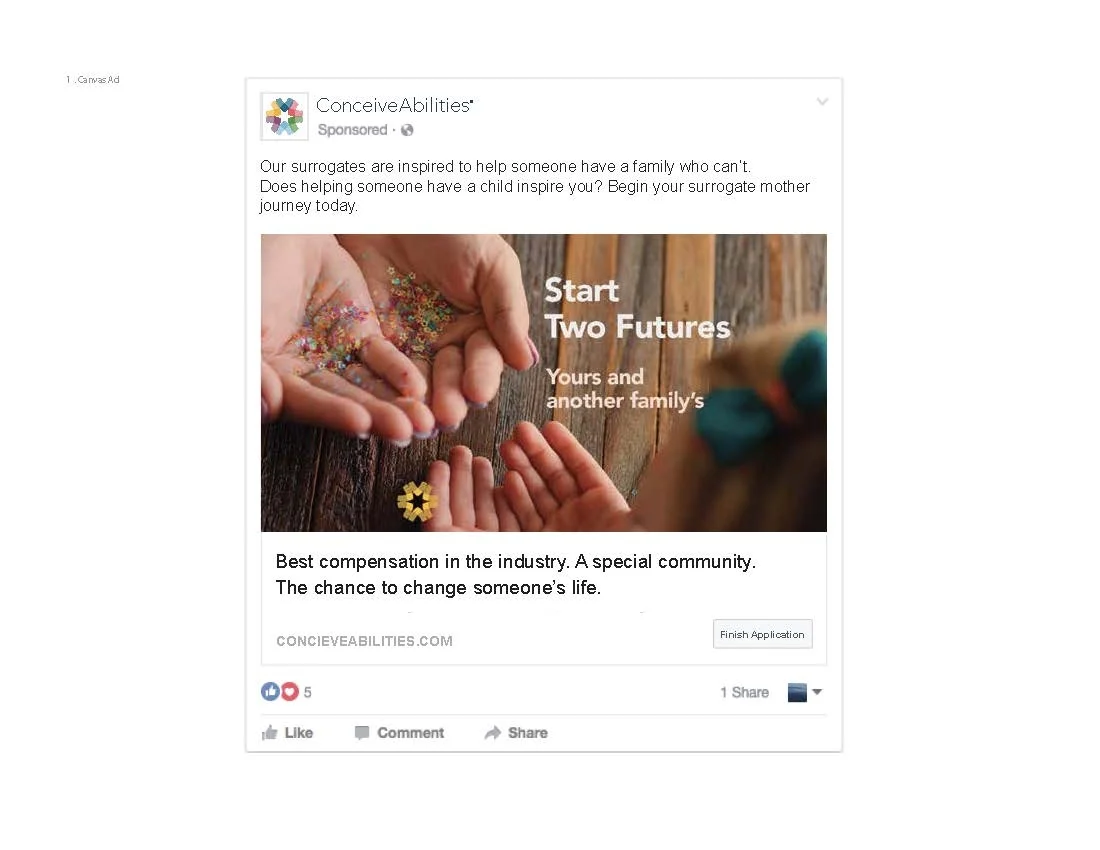 ConceiveAbilities Facebook ads