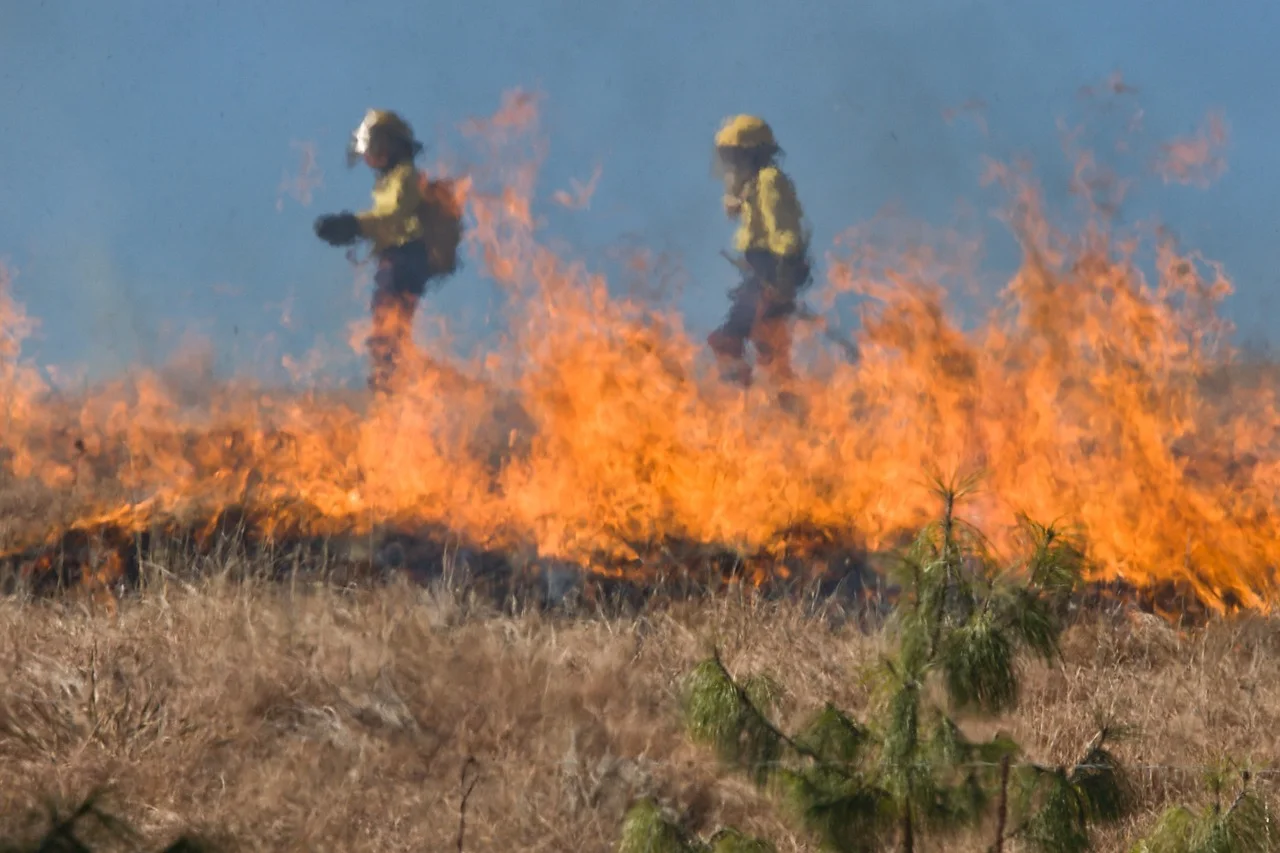 grassfire.jpg