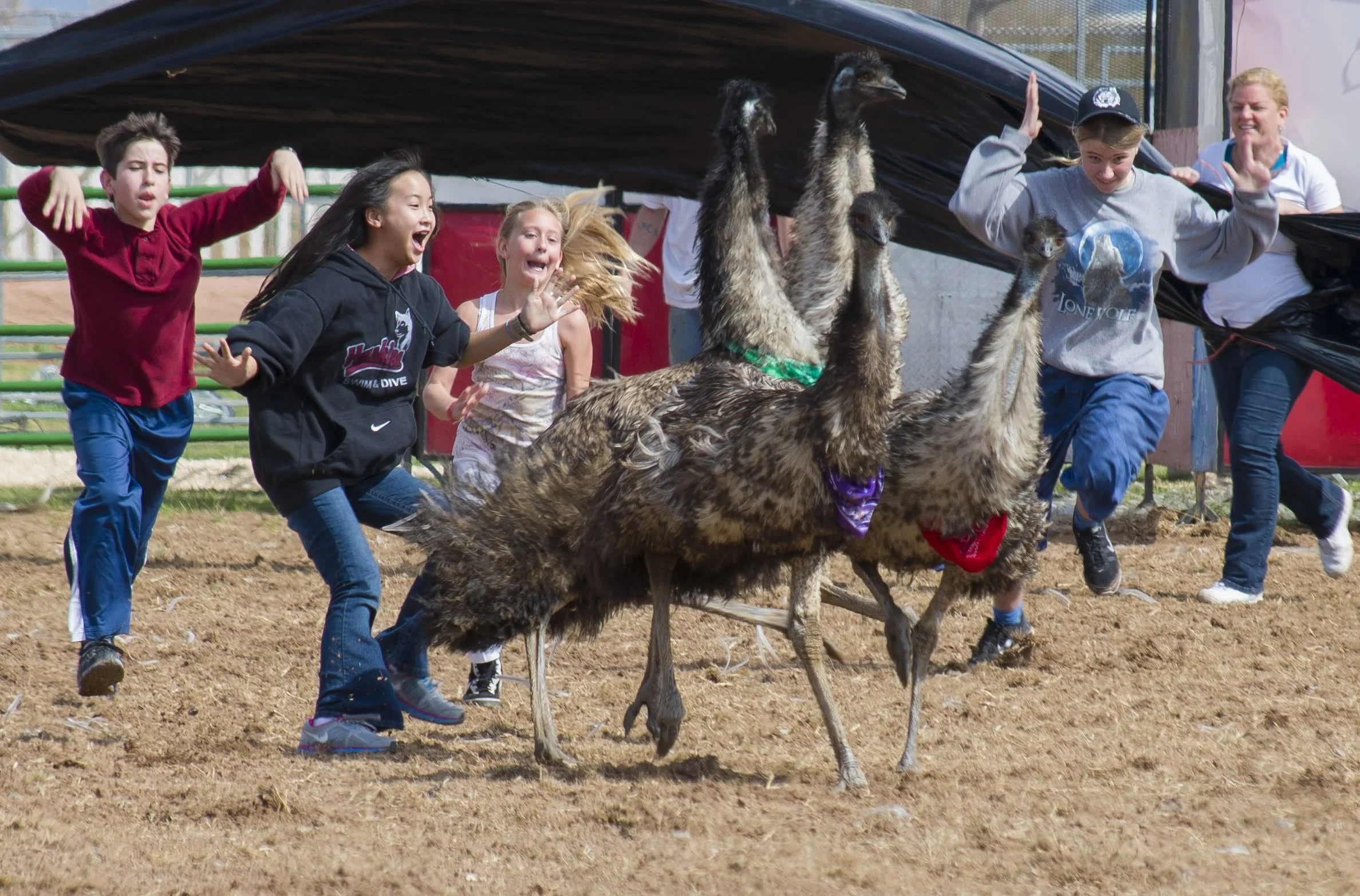 Danielle Gregory_Crowder_07.jpg