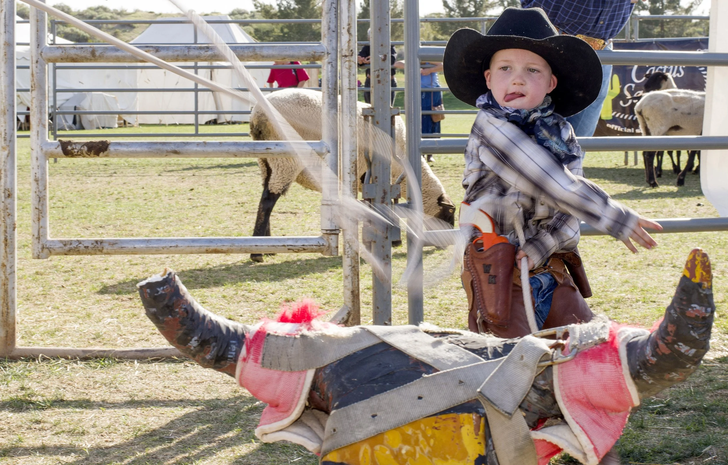 Danielle Gregory_Crowder_05.jpg