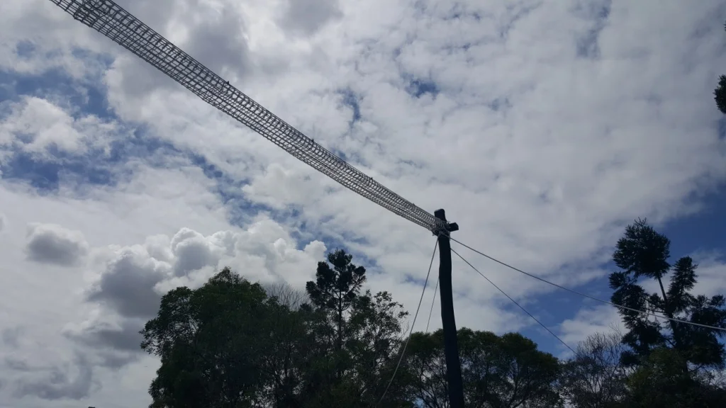 Fauna Crossing Qld w.jpg