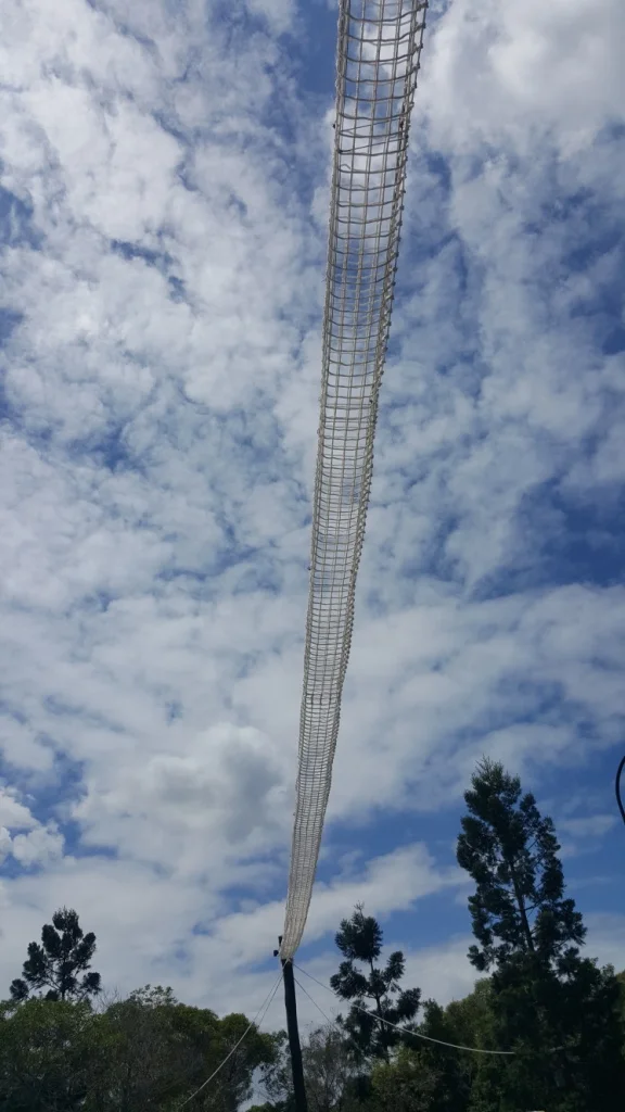 Rope Bridge Crossing w.jpg