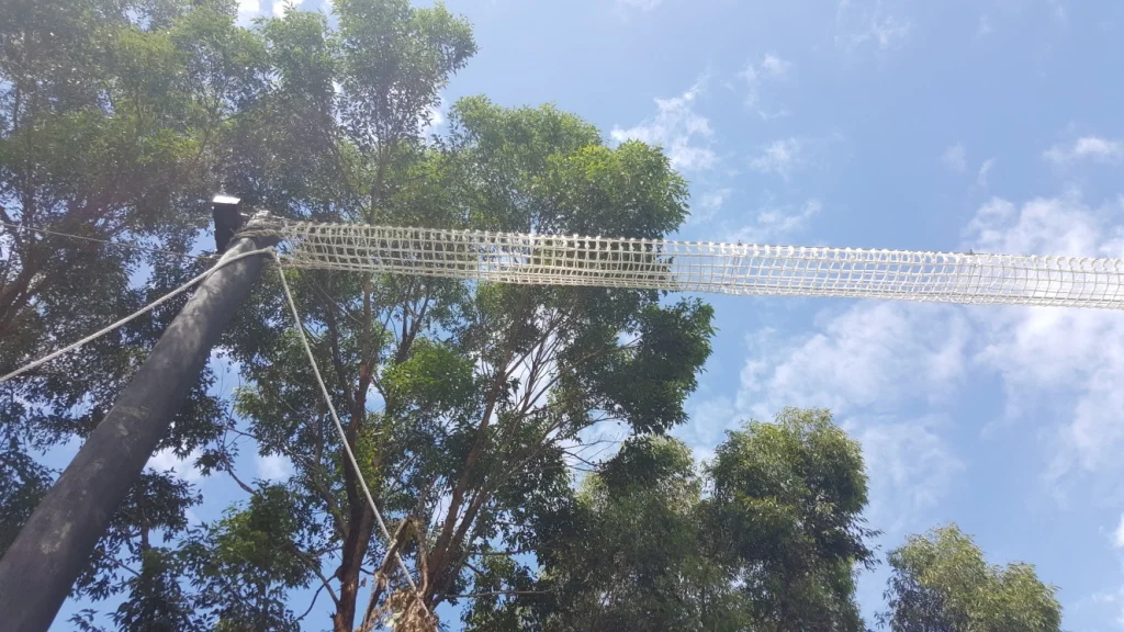 Rope Crossing For Fauna w.jpg