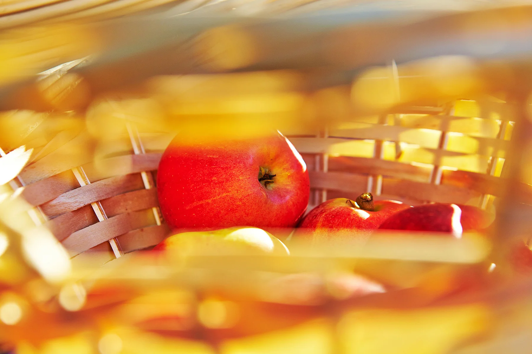 Apple-Basket-SSPACE-WEB.jpg
