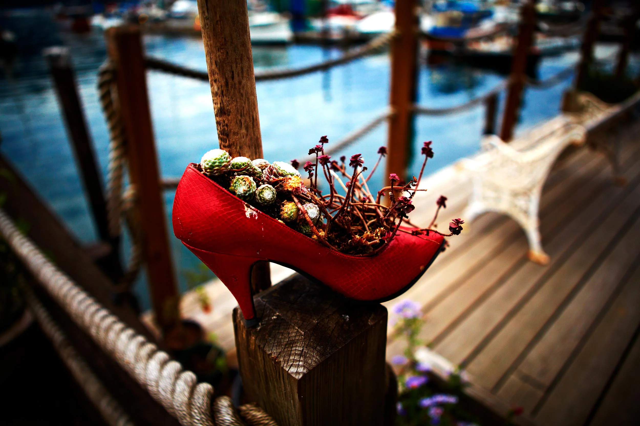 A-Life-for-High-Heels-Beyond-Fashion-(Ultimate-Recycling).jpg