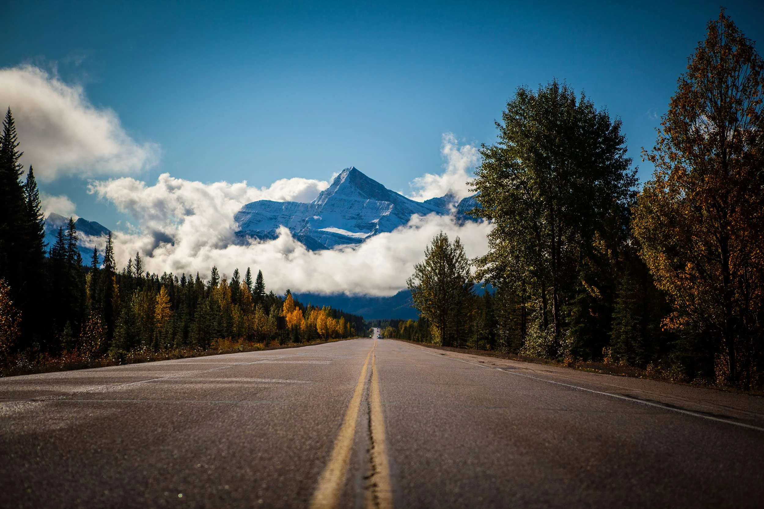 IMG_0730-Road-Ahead-vign.jpg