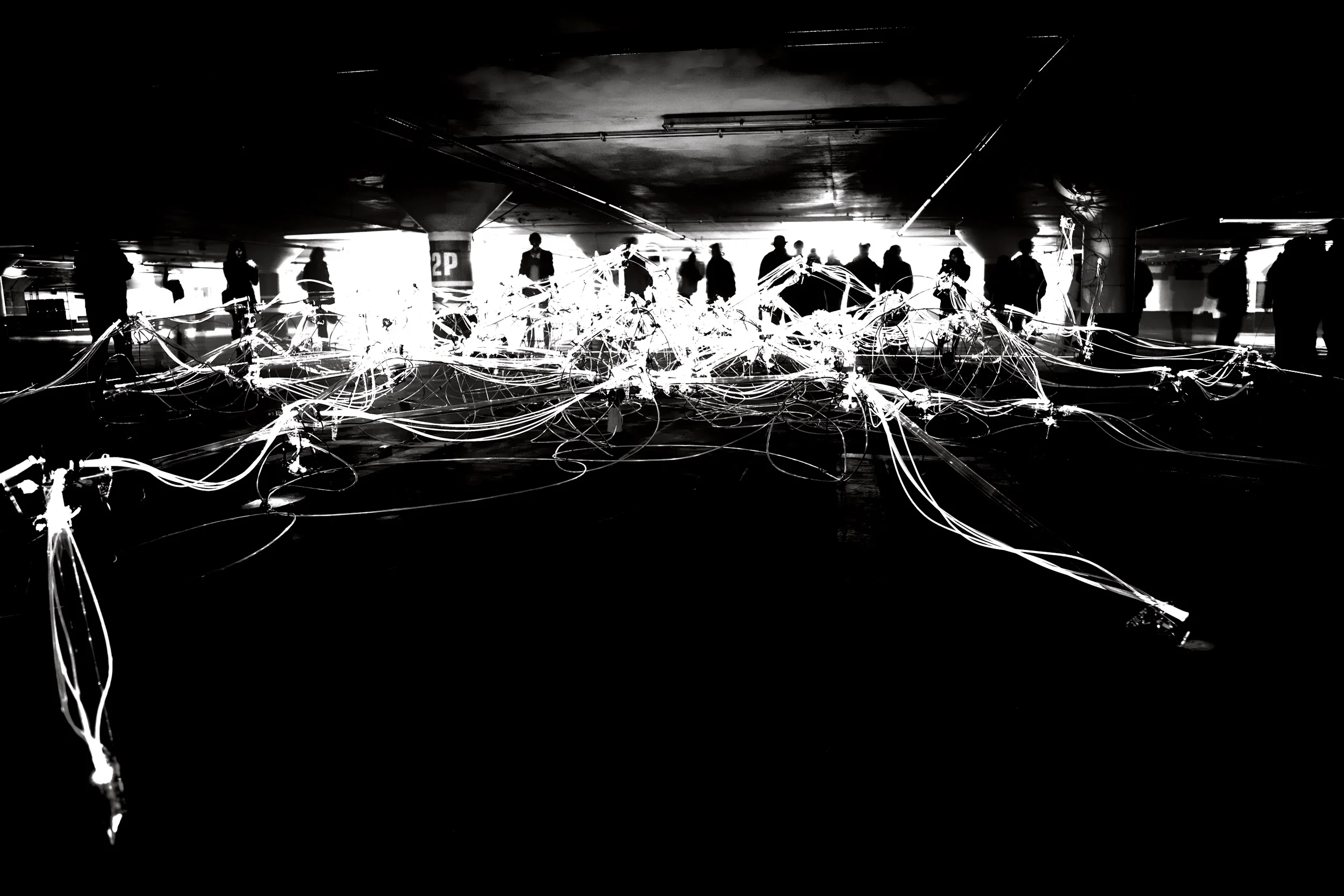 Light-of-Nuit-Blanche-2012.jpg