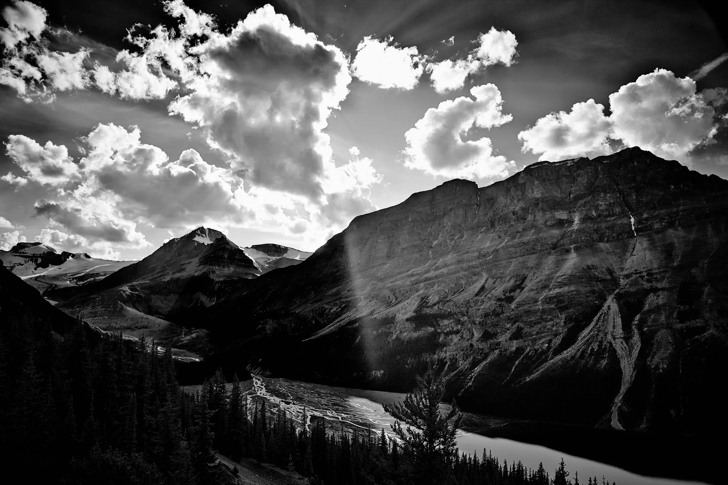 Peyto-B-&-W-Final.jpg