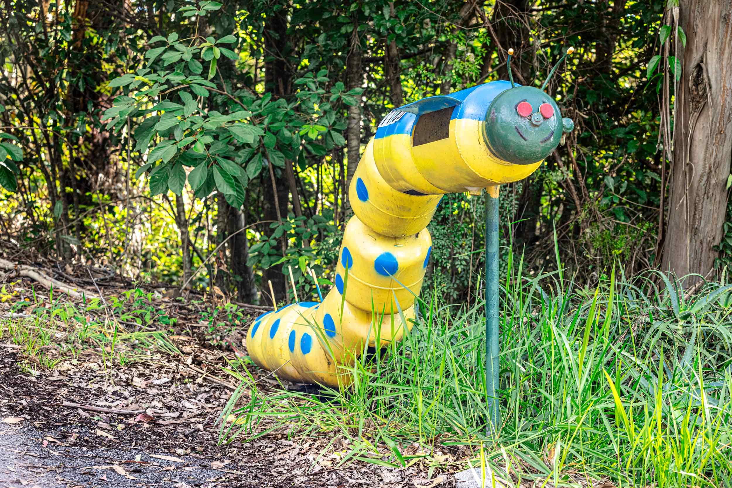 Worm.-Adapt-Lands.-Summ02,-POP-+-Warm-Light--2500PX-FOR-SS-WEB.-480KB.-0772.jpg