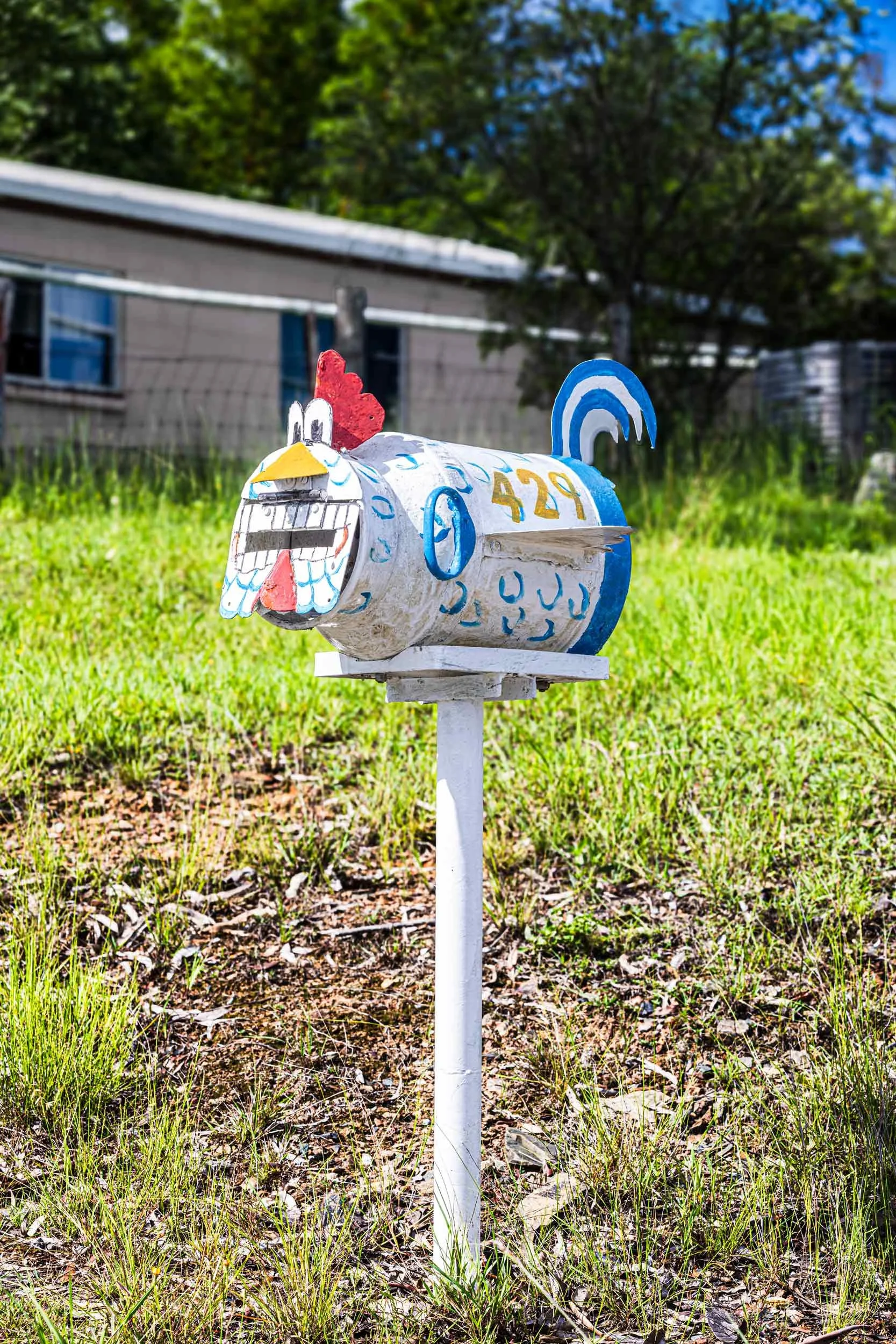Chicken-Mailbox-Alt-Angle.-Adaptive-lands.-Spring02.-Pop-2500PX-FOR-SS-WEB.-488KB.--0696.jpg