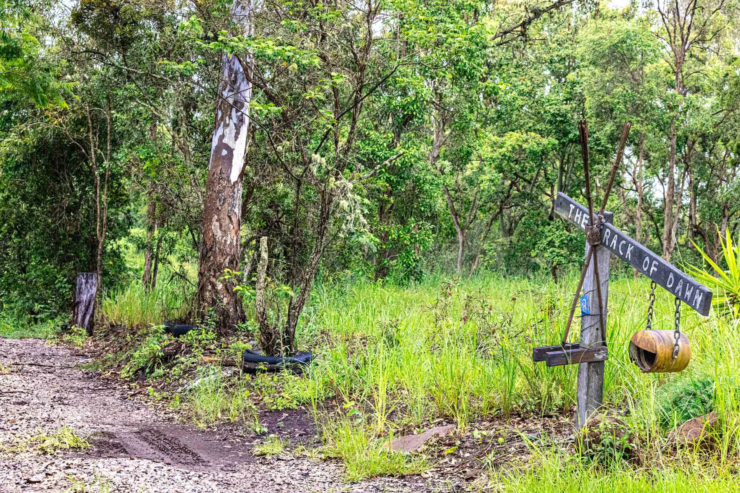 The-Rack-Of-Dawn-Mailbox-alt-angle-Adaptive-Lands,-Summer-02,-pop.-2500PX-FOR-SS-WEB.-555KB-0666.jpg