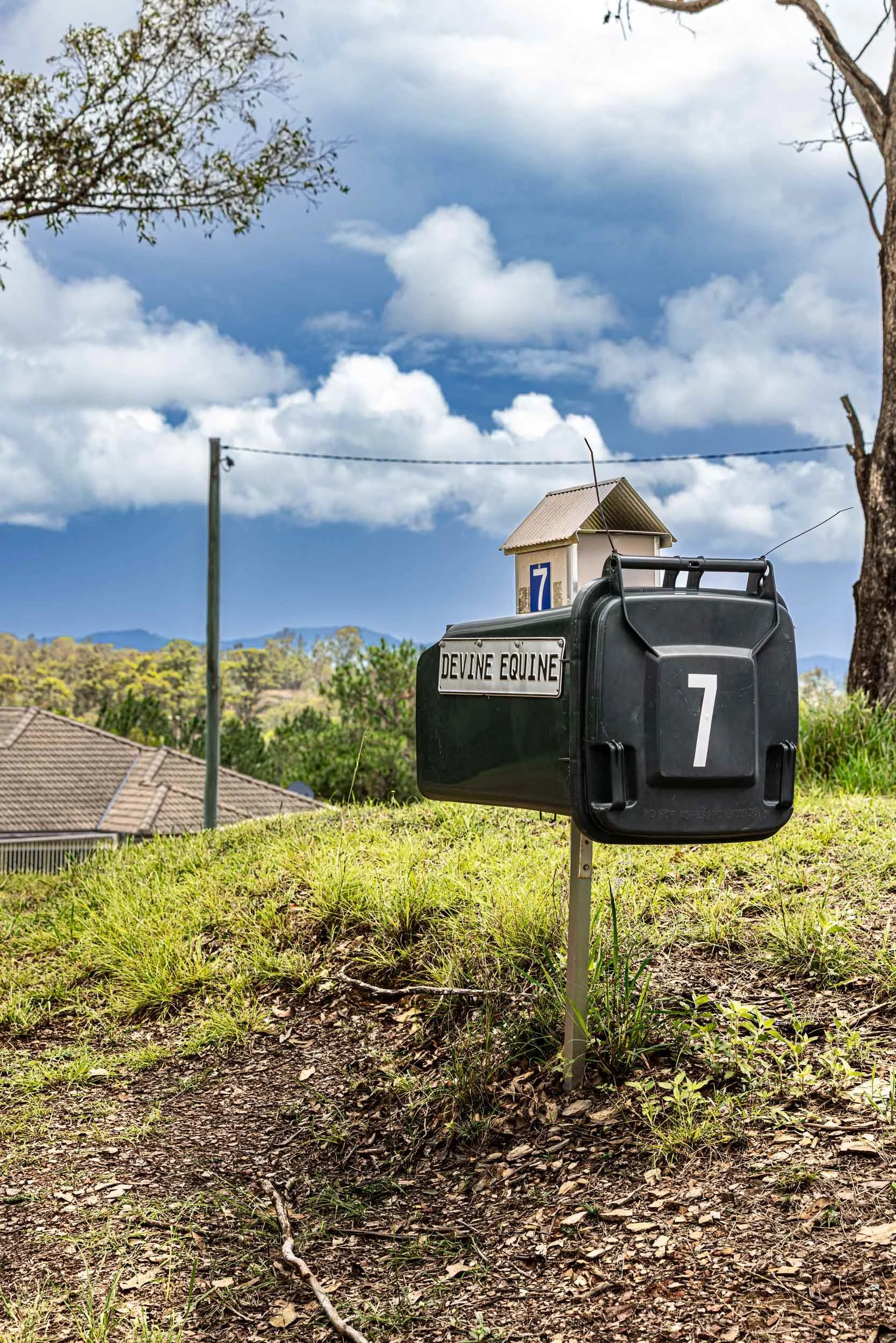 Lucky-7-Garbage-House-mailbox--2500PX-FOR-SS-WEB.-475KB.-0597.jpg