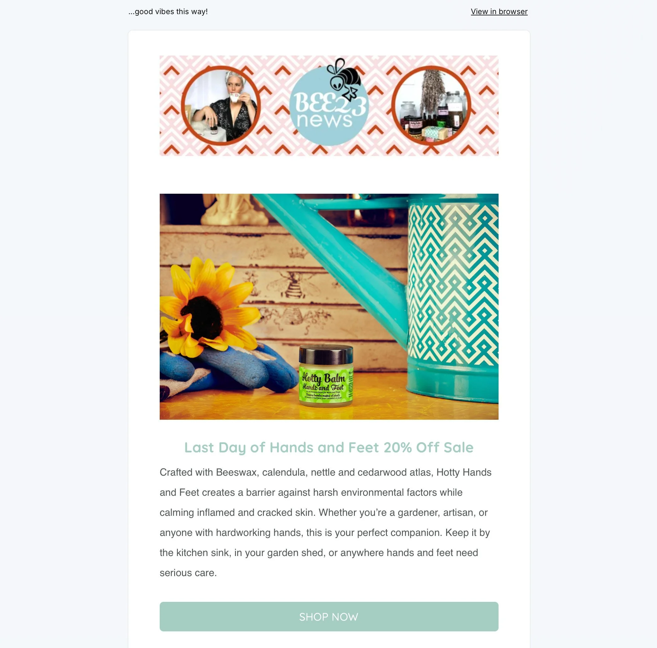 Bee23-e-newsletter-marketing-collateral_Hotty Balm_Screenshot_482KB.jpg