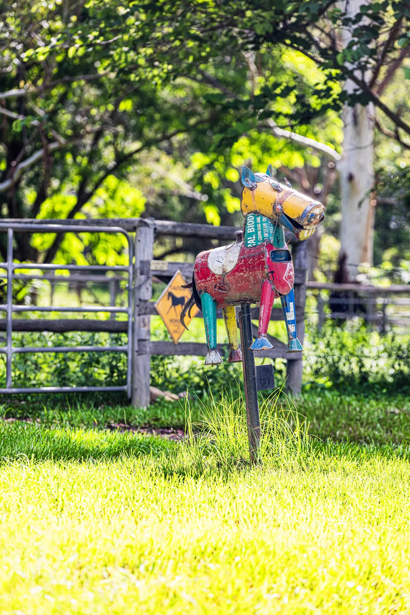 Horse.-Adap.-Lands.-Spring-+-Pop.-2500-PX-FOR-SS-WEB.-488KB.-0732.jpg